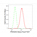 KD-Validated PRAS40 Rabbit mAb (20 μl)