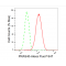 KD-Validated PRAS40 Rabbit mAb (20 μl)