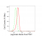 KD-Validated LGMN Rabbit mAb (20 μl)