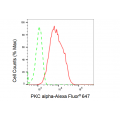 KD-Validated PKC alpha Rabbit mAb (20 μl)