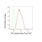 KD-Validated PKC alpha Rabbit mAb (20 μl)