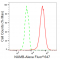KD-Validated NUMB Rabbit mAb (20 μl)