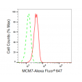 KD-Validated MCM7 Rabbit mAb (20 μl)