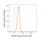 KD-Validated MCM7 Rabbit mAb (20 μl)