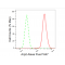 KD-Validated Arp2 Rabbit mAb (20 μl)