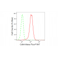 KD-Validated Cdk4 Rabbit mAb (20 μl)