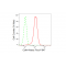 KD-Validated Cdk4 Rabbit mAb (20 μl)