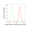 KD-Validated CD29 Rabbit mAb (20 μl)