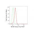 KD-Validated MCM7 Rabbit mAb (20 μl)
