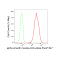 KD-Validated ACTSA Rabbit mAb (20 μl)