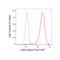KD-Validated Cdk4 Rabbit mAb (20 μl)