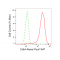 KD-Validated Cdk4 Rabbit mAb (20 μl)