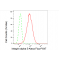 KD-Validated CD49e Rabbit mAb (20 μl)