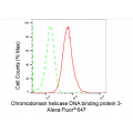 KD-Validated ZFH Rabbit mAb (20 μl)