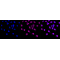 KD-Validated ZFH Rabbit mAb (20 μl)