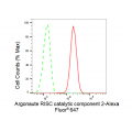 KD-Validated EIF2C Rabbit mAb (20 μl)