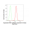 KD-Validated EIF2C Rabbit mAb (20 μl)