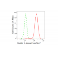 KD-Validated Flotillin 1 Rabbit mAb (20 μl)