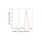 KD-Validated Flotillin 1 Rabbit mAb (20 μl)