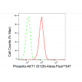 KD-Validated Phospho-AKT1 (S129) Rabbit mAb (20 μl)