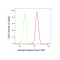 KD-Validated Smad4 Rabbit mAb (20 μl)
