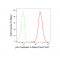 KD-Validated CPP32B Rabbit mAb (20 μl)