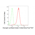 KD-Validated GSK3B Rabbit mAb (20 μl)