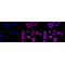 KD-Validated ACL Rabbit mAb (20 μl)