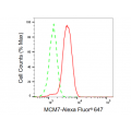 KD-Validated MCM7 Rabbit mAb (20 μl)