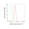 KD-Validated MCM7 Rabbit mAb (20 μl)