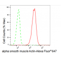 KD-Validated ACTSA Rabbit mAb (20 μl)