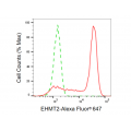 KD-Validated EHMT2 Rabbit mAb (20 μl)