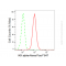 KD-Validated IKK alpha Rabbit mAb (20 μl)
