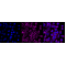 KD-Validated CLPP Rabbit mAb (20 μl)
