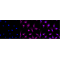 KD-Validated Src Rabbit mAb (20 μl)