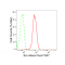 KD-Validated Src Rabbit mAb (20 μl)