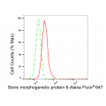 KD-Validated BMP6 Rabbit mAb (20 μl)