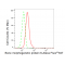 KD-Validated BMP6 Rabbit mAb (20 μl)