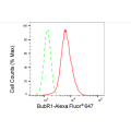 KD-Validated BubR1 Rabbit mAb (20 μl)
