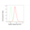 KD-Validated BubR1 Rabbit mAb (20 μl)