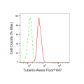 KD-Validated Tuberin Rabbit mAb (20 μl)