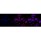 KD-Validated Phospho-GSK3B (Ser9) Rabbit mAb (20 μl)