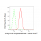 KD-Validated ACAT Rabbit mAb (20 μl)