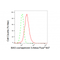 KD-Validated BAG3 Rabbit mAb (20 μl)