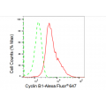 KD-Validated CCNB1 Rabbit mAb (20 μl)