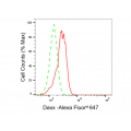 KD-Validated DAXX Rabbit mAb (20 μl)