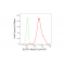 KD-Validated EGFR Rabbit mAb (20 μl)