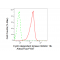 KD-Validated CDKN1B Rabbit mAb (20 μl)