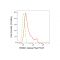 KD-Validated RING1 Rabbit mAb (20 μl)
