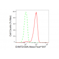 KD-Validated EHMT2 Rabbit mAb (20 μl)